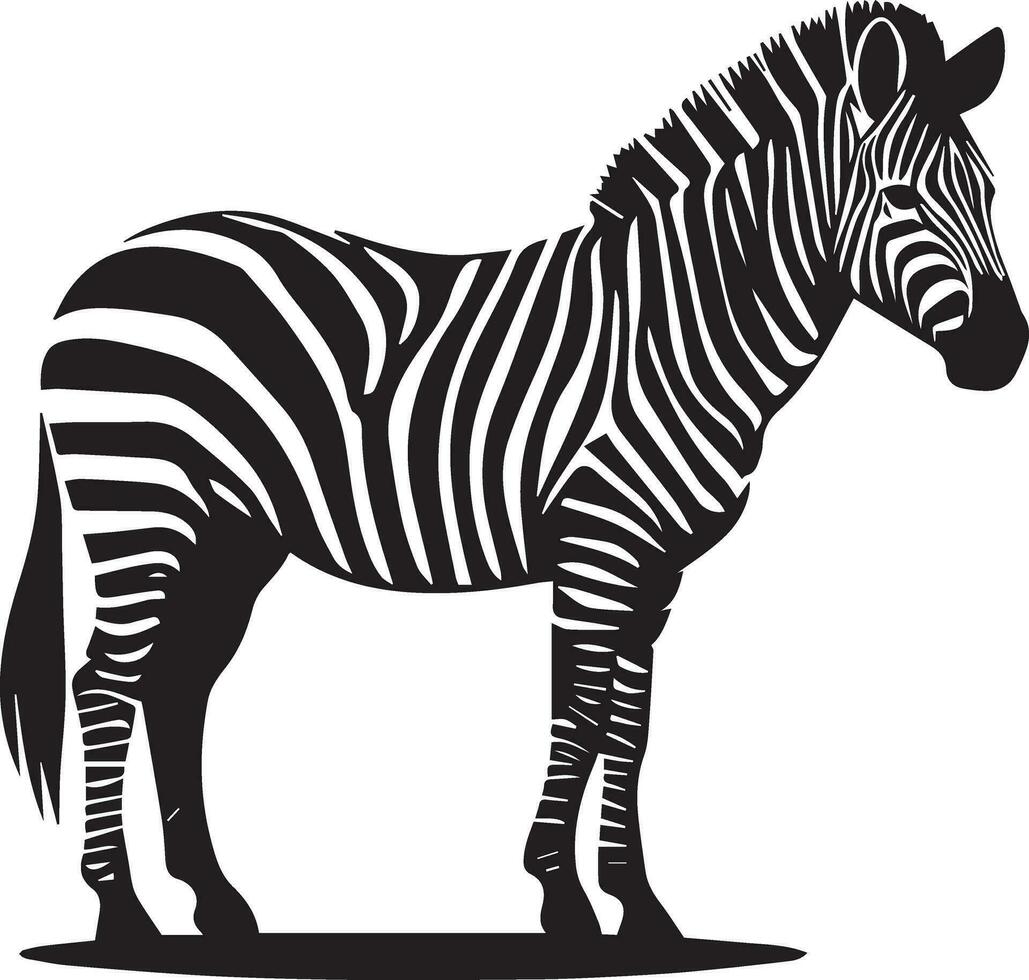 Zebra animal vector silhouette