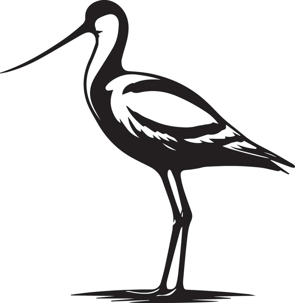 avoceta pájaro vector silueta ilustración negro color