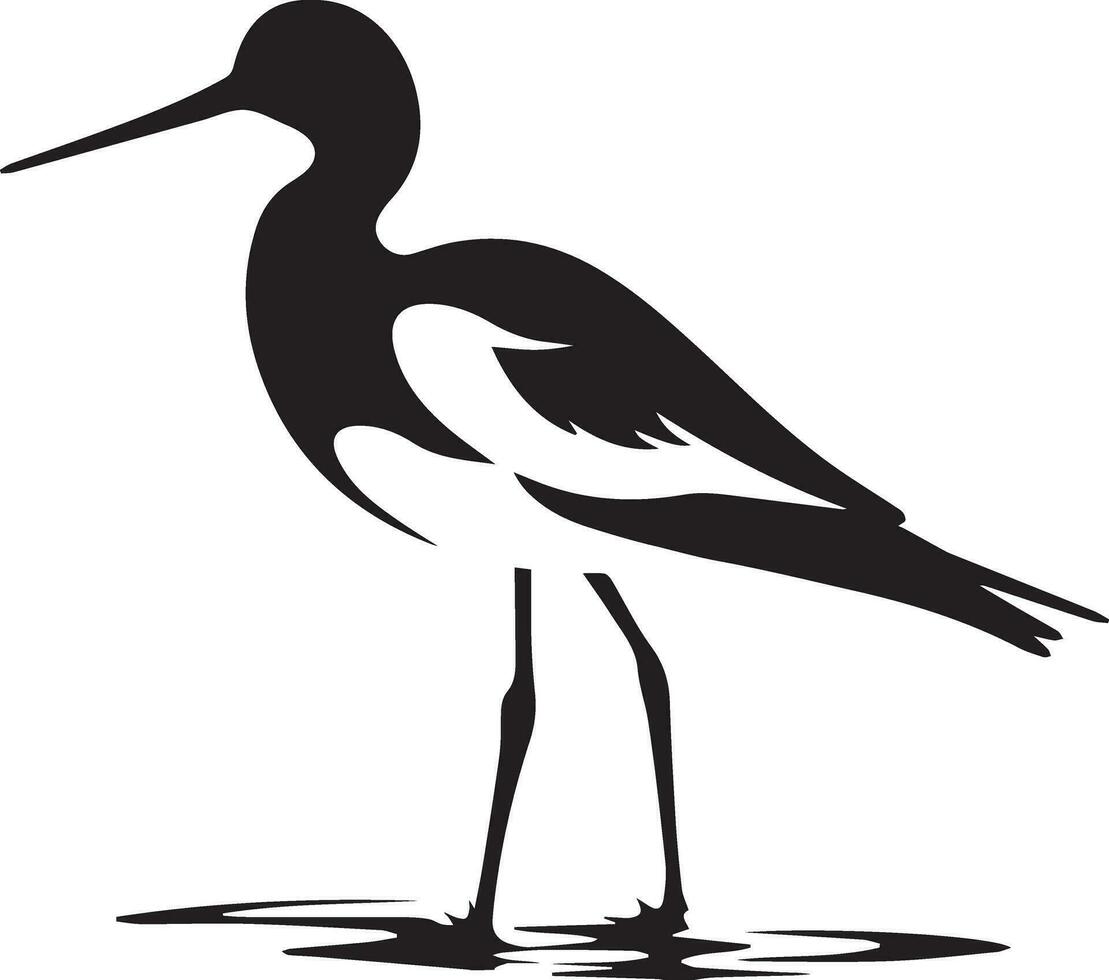 Avocet Bird Vector silhouette illustration black color