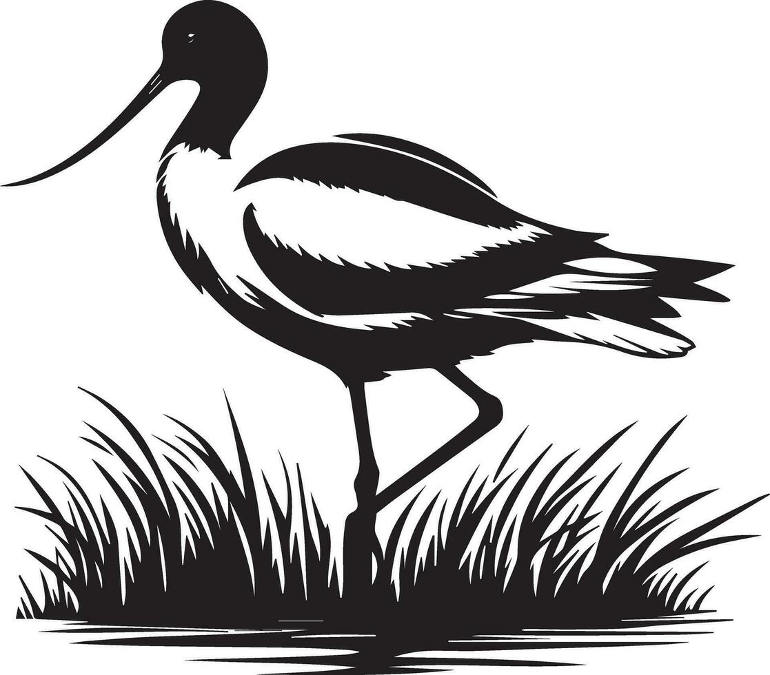 avoceta pájaro vector silueta ilustración negro color