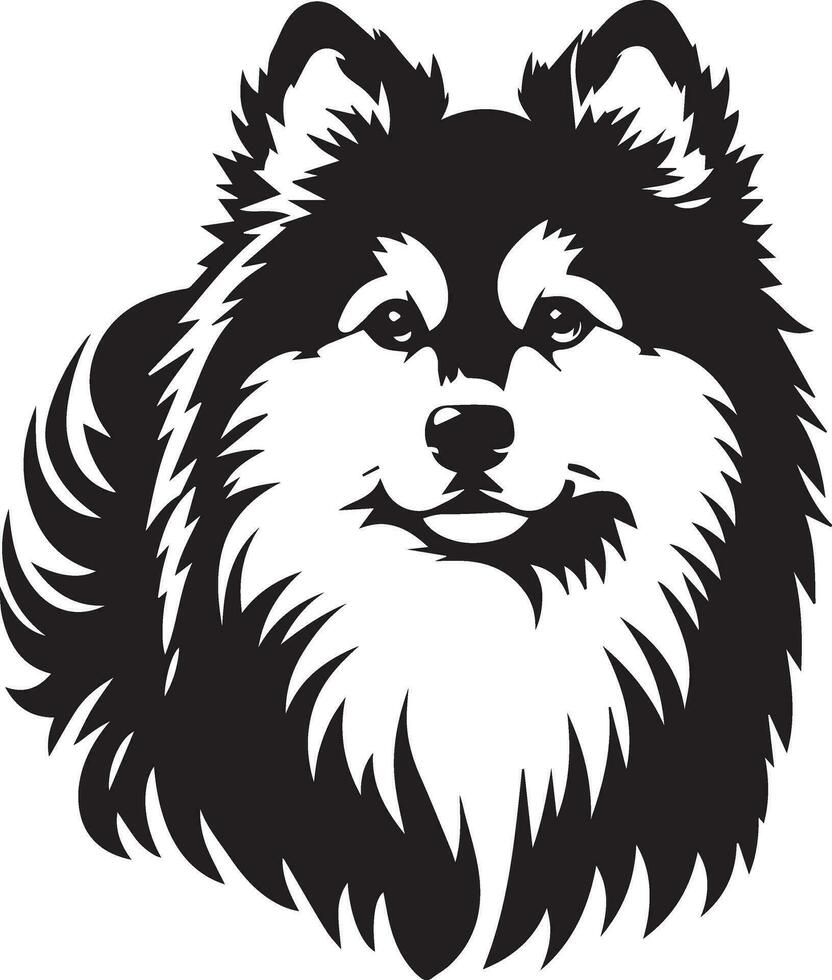 Yakutian Laika vector silhouette illustration black color 10