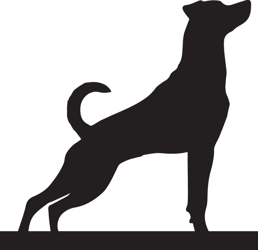 Dog Sitting Pose vector silhouette illustration black color 37