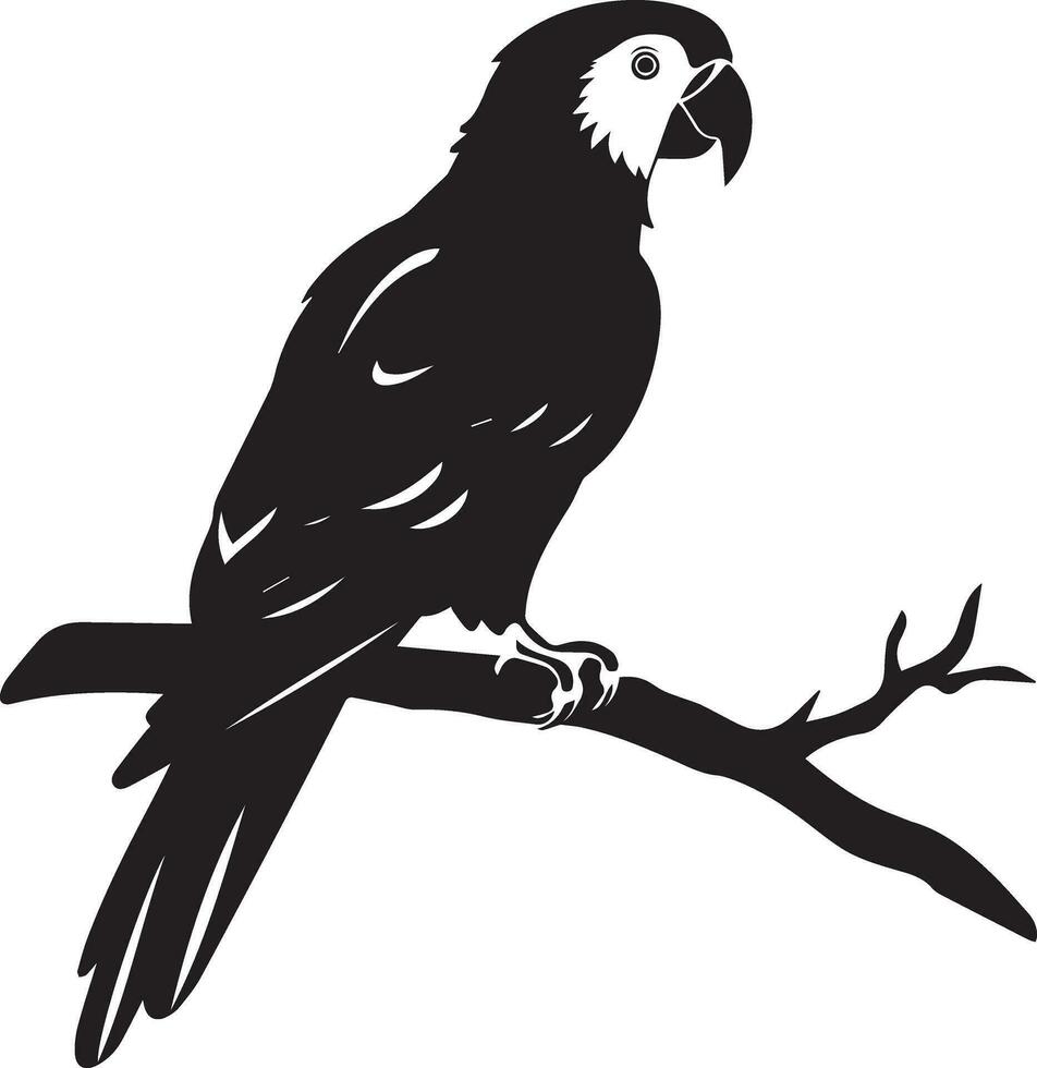 Parrot vector silhouette illustration black color