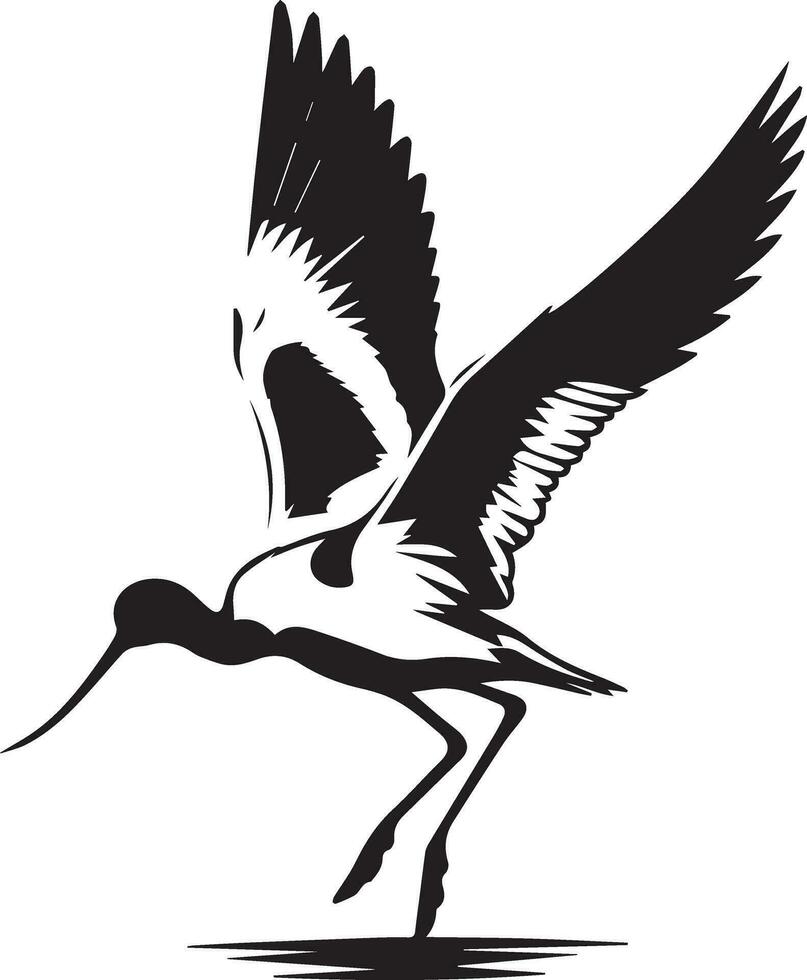 Avocet Bird Vector silhouette illustration black color