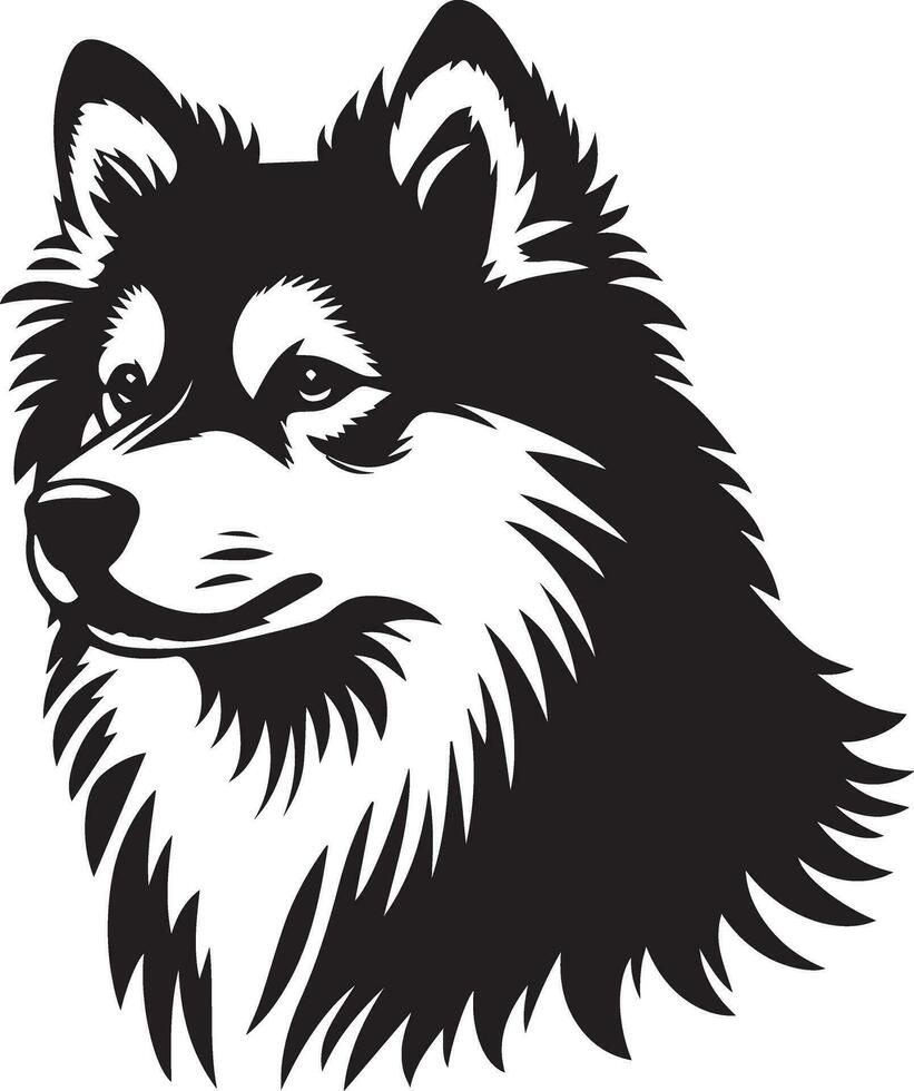 Yakutian Laika vector silhouette illustration black color 14
