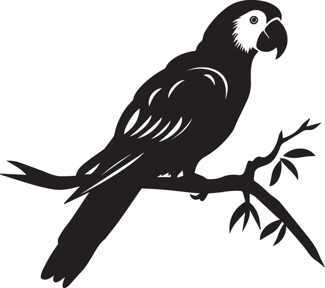 Parrot vector silhouette illustration black color