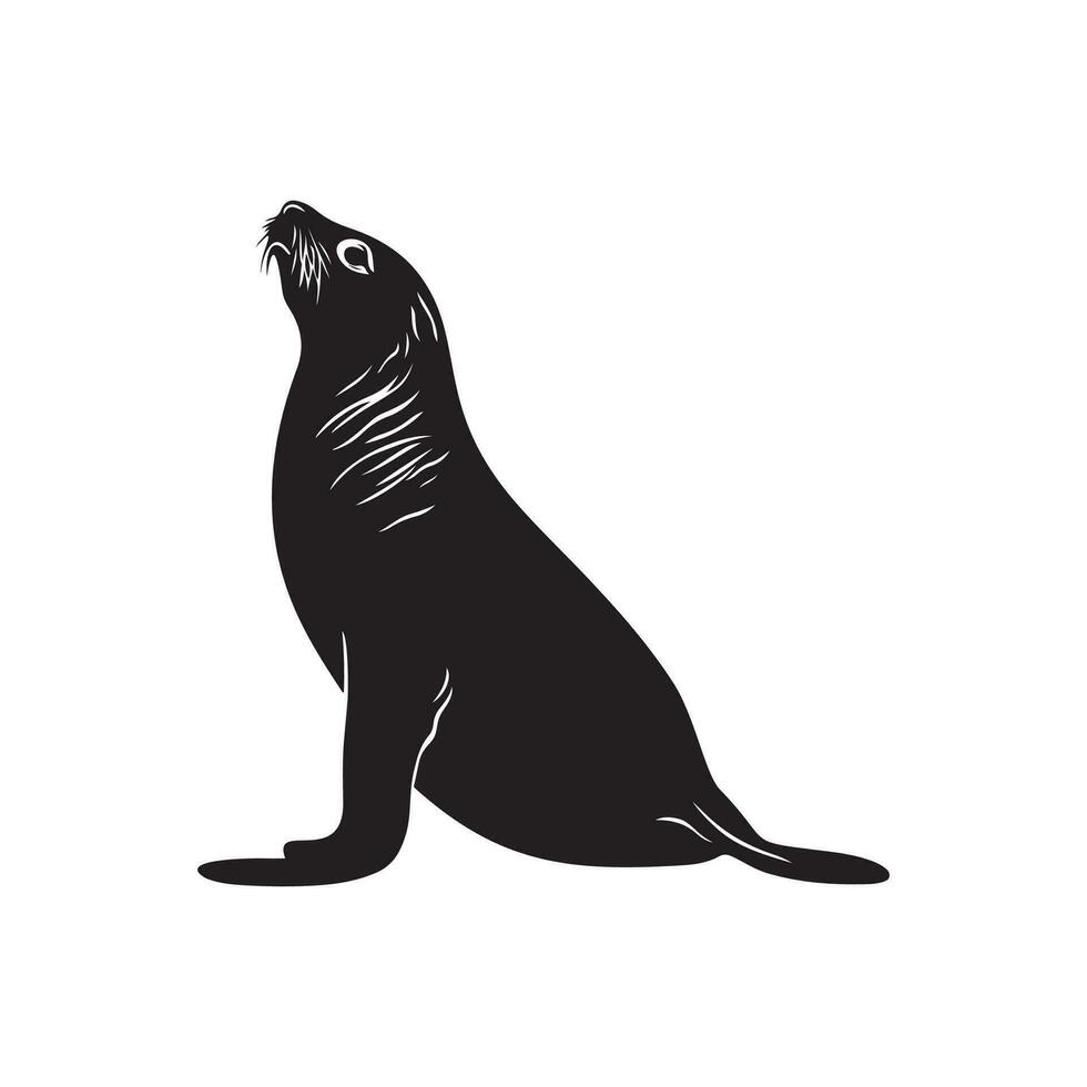 Sea lion vector, image and Illustration vector