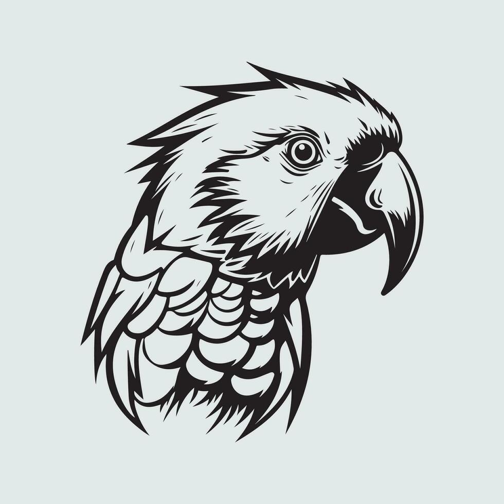 Parrot Head Vector Art, Image and Design