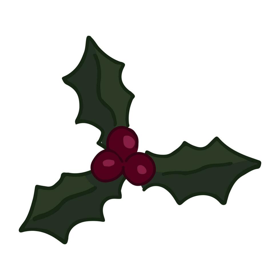 Doodle of holly Christmas plant. Cartoon clipart of leaves and berries bunch. Vector illustration isolated on white.