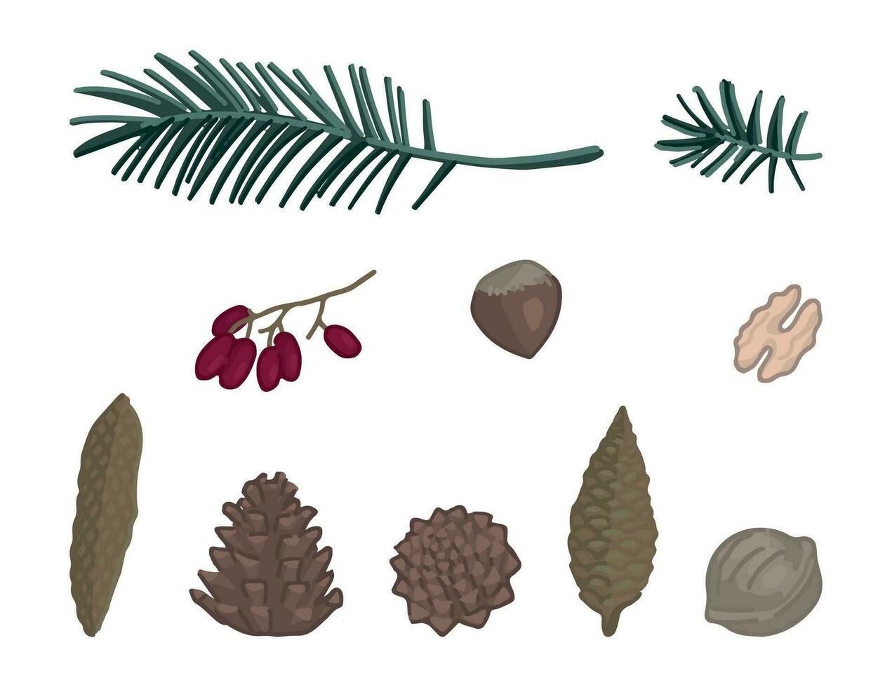 Doodles set of forest harvest, nuts, cone, fir twigs. Cartoon vector illustrations. Contemporary clip arts collection isolated on white.