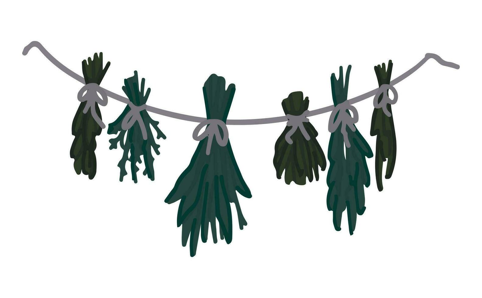 Doodle of bunches of dried grass hanging herbs on rope. Herbarium, witchcraft ingredients, aromatherapy cartoon clipart Vector illustration isolated on white background.