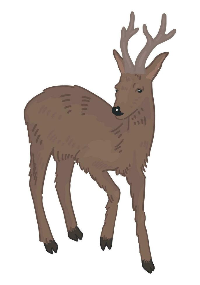 Cartoon clipart of young deer. Doodle of forest wild animal. Vector illustration isolated on white background.