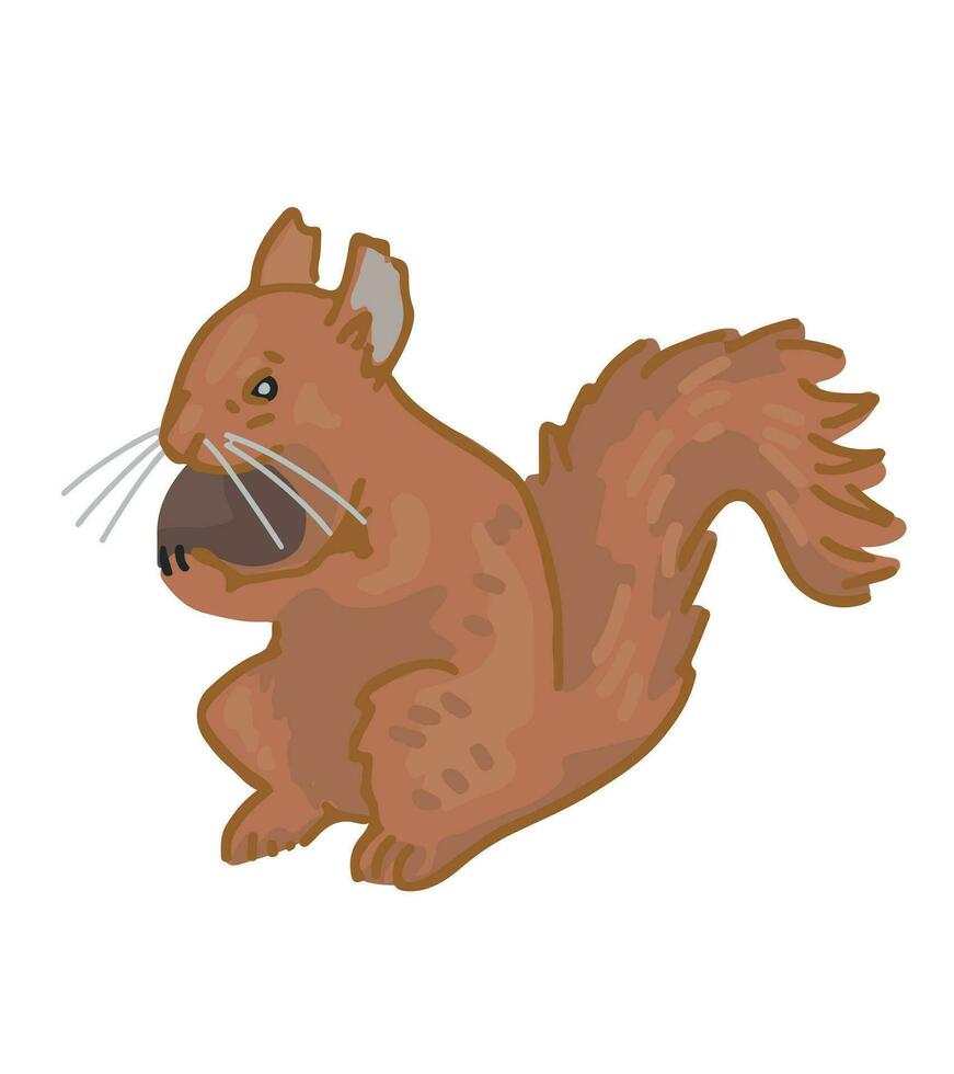 Cartoon clipart of cute squirrel eats nut. Doodle of forest wild animal. Vector illustration isolated on white background.