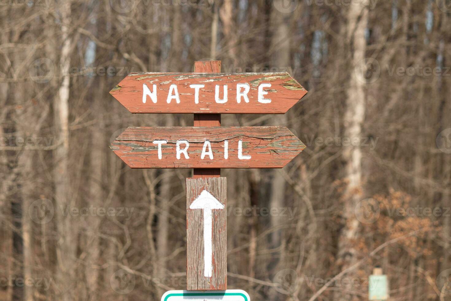 This sign in the woods marks the area of the trail. Helping to keep hikers from getting them lost and leading the way. The brown paint looks worn and chipping. The white letters standing out. photo