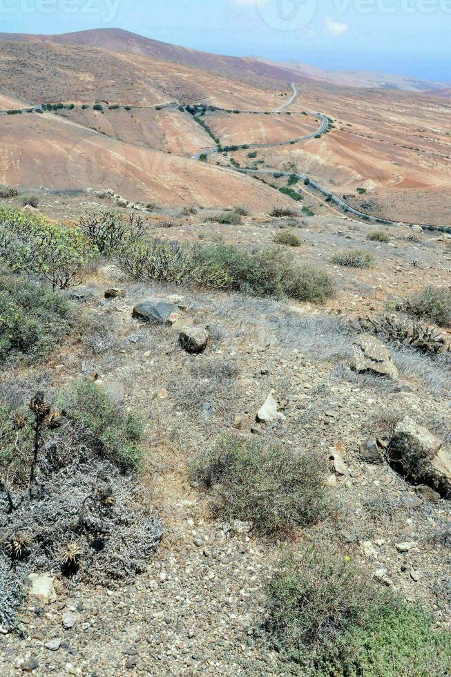 un la carretera en el lado de un montaña con arbustos y rocas foto