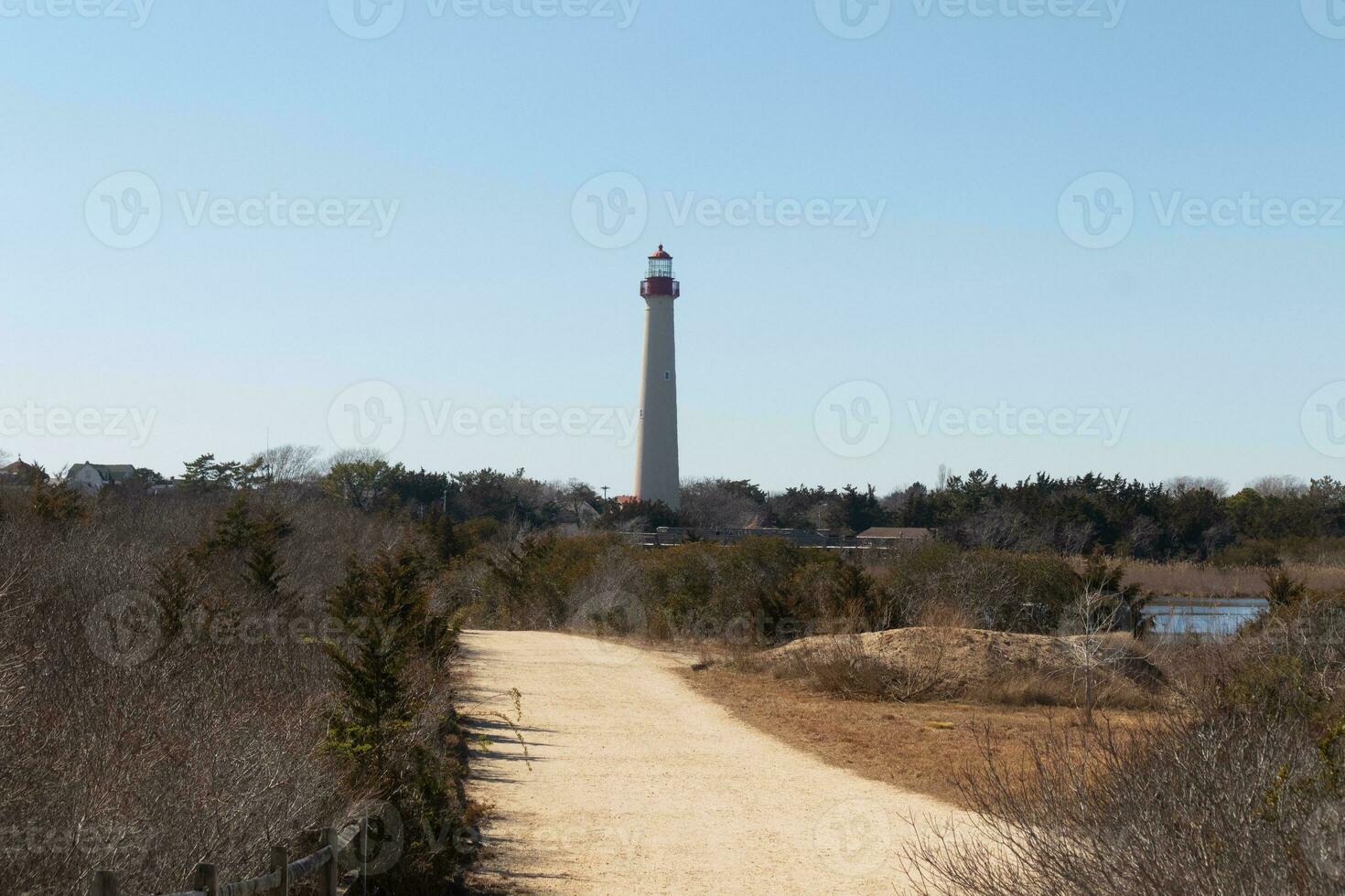 This is an image of Cape May Point lighthouse from a walking path that was close by. I love the red metal at the top of this lighthouse and the white tower. The beautiful walking path looks yellow. photo