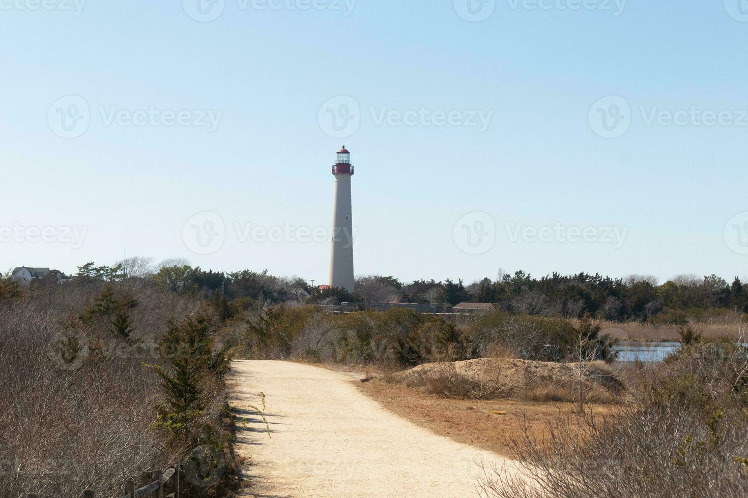 This is an image of Cape May Point lighthouse from a walking path that was close by. I love the red metal at the top of this lighthouse and the white tower. The beautiful walking path looks yellow. photo