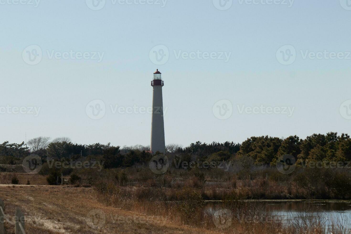 This is the look of the Cape May point lighthouse from the birdwatching nature preserve close by. I love the look of the pond in this landscape picture and the brown look of all the foliage. photo