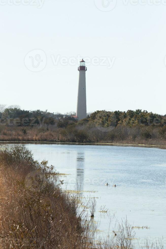 This is the look of the Cape May point lighthouse from the birdwatching nature preserve close by. I love the look of the pond in this landscape picture and the brown look of all the foliage. photo