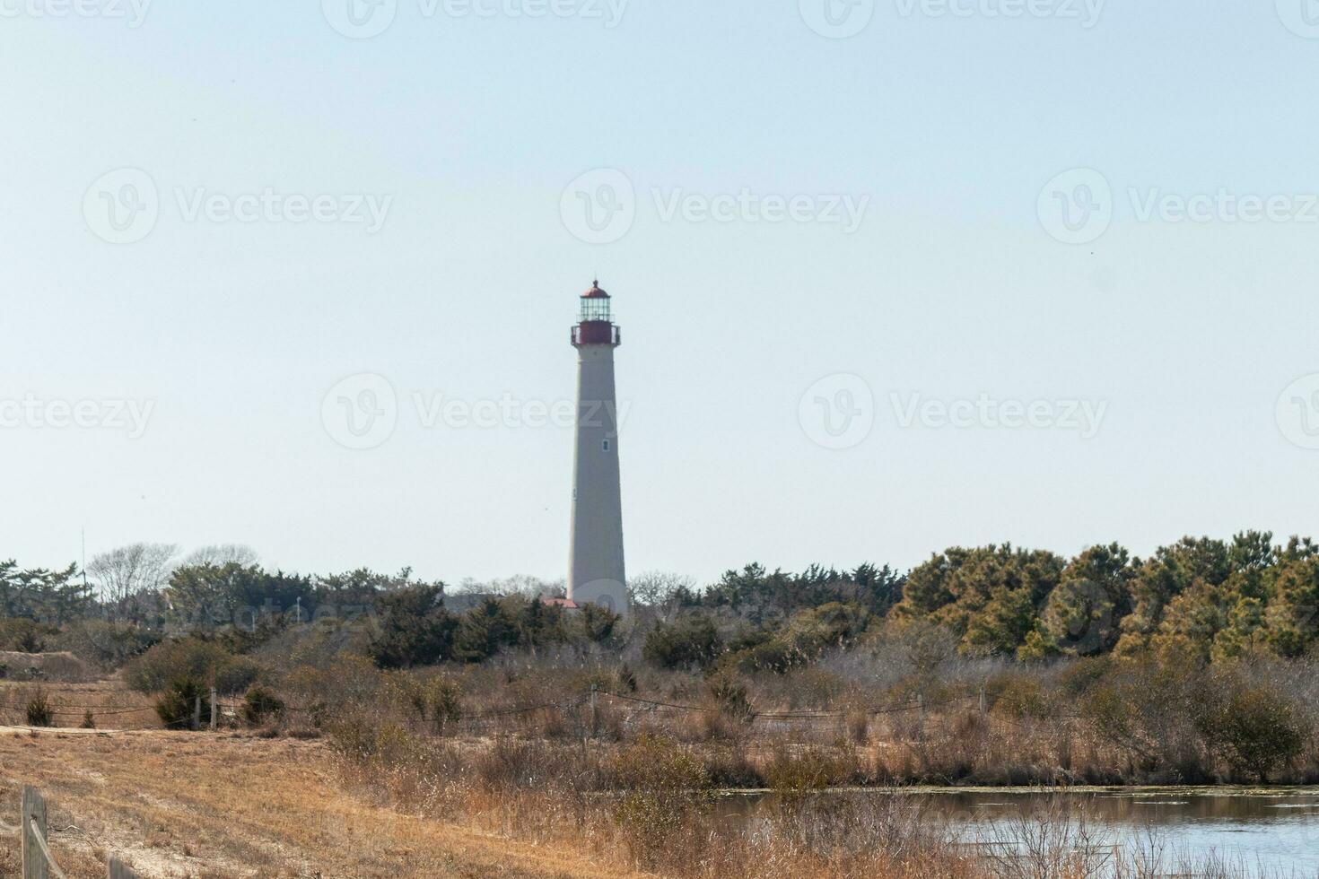 This is the look of the Cape May point lighthouse from the birdwatching nature preserve close by. I love the look of the pond in this landscape picture and the brown look of all the foliage. photo