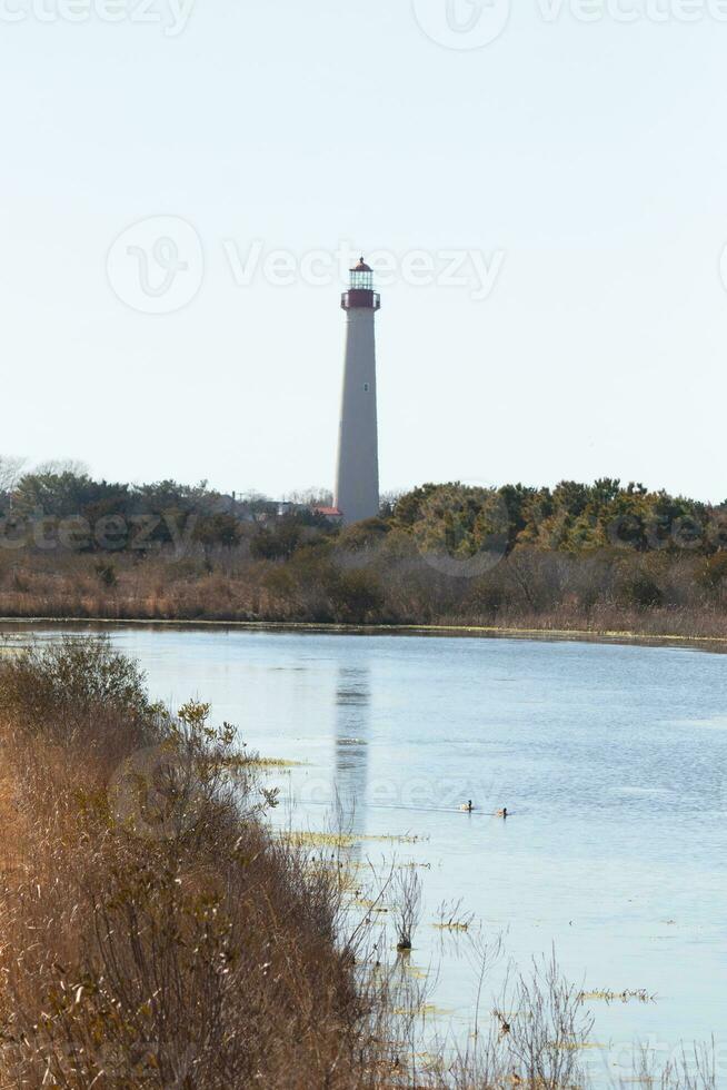 This is the look of the Cape May point lighthouse from the birdwatching nature preserve close by. I love the look of the pond in this landscape picture and the brown look of all the foliage. photo