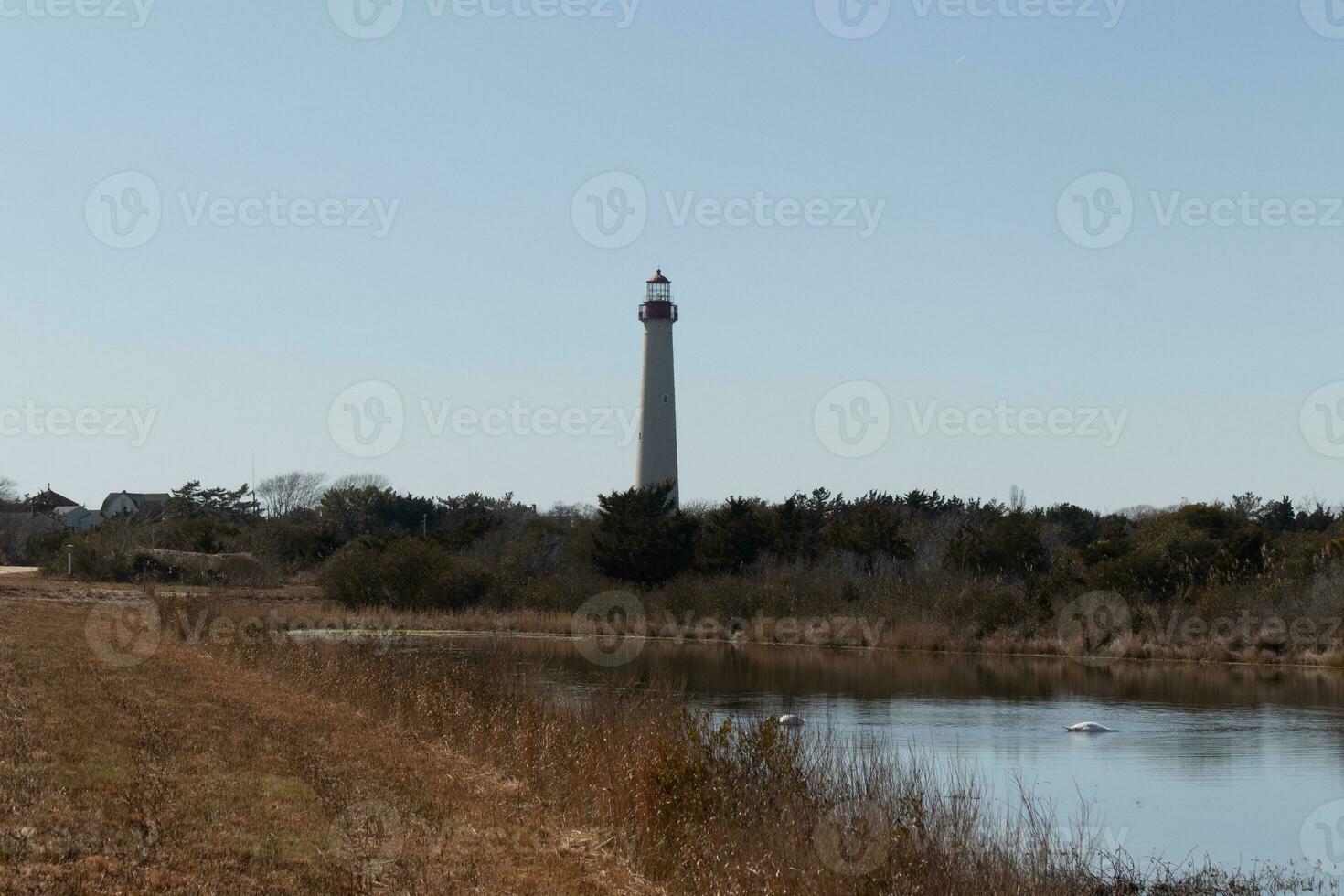 esta es el Mira de el capa mayo punto faro desde el ornitología naturaleza preservar cerca por. yo amor el Mira de el estanque en esta paisaje imagen y el marrón Mira de todas el follaje. foto