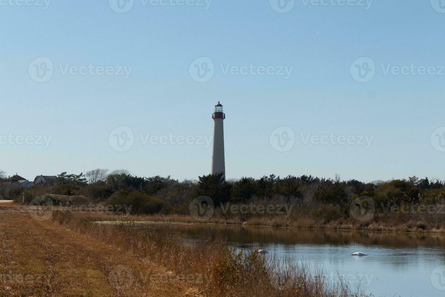 This is the look of the Cape May point lighthouse from the birdwatching nature preserve close by. I love the look of the pond in this landscape picture and the brown look of all the foliage. photo