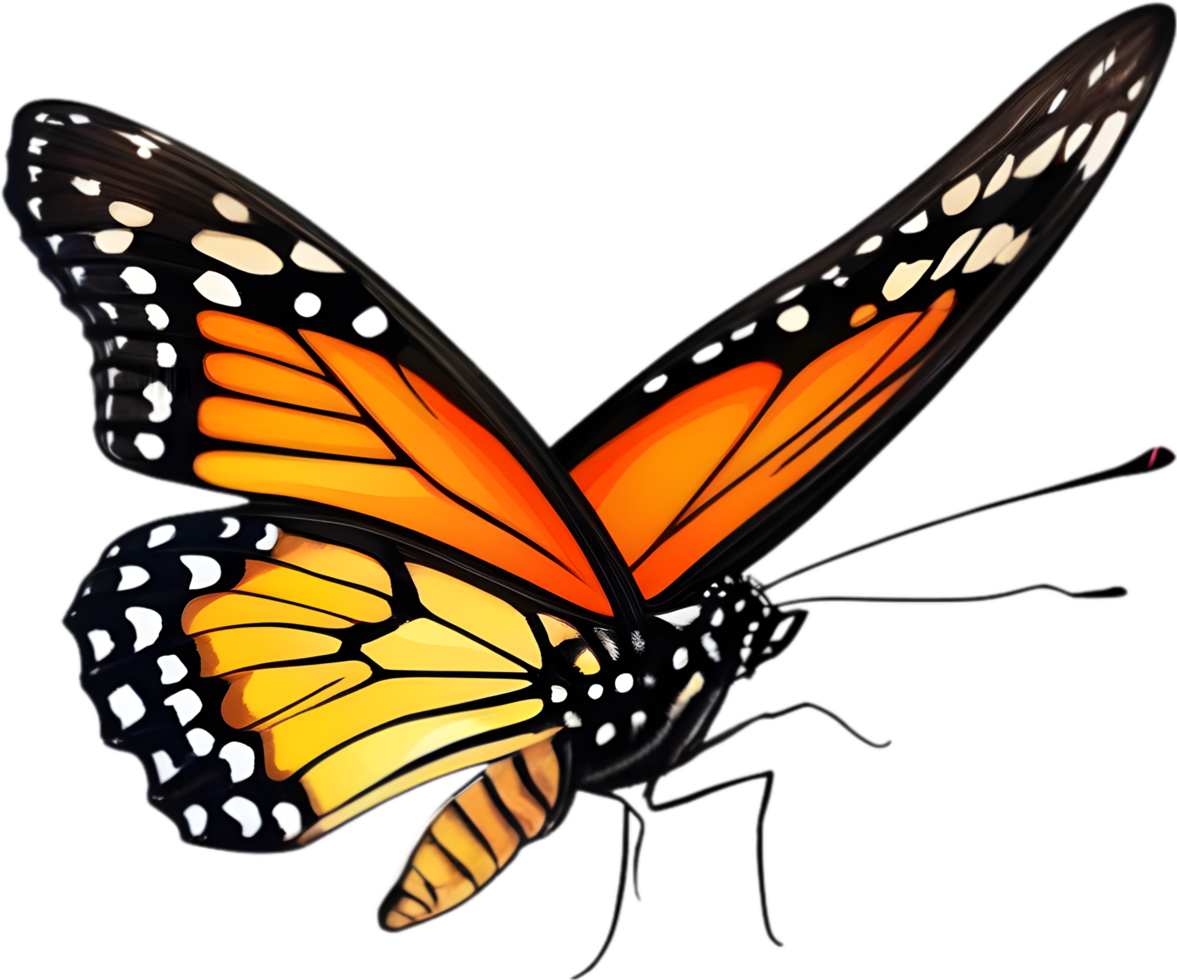 Colorful butterfly clipart for decoration. AI-generated. png
