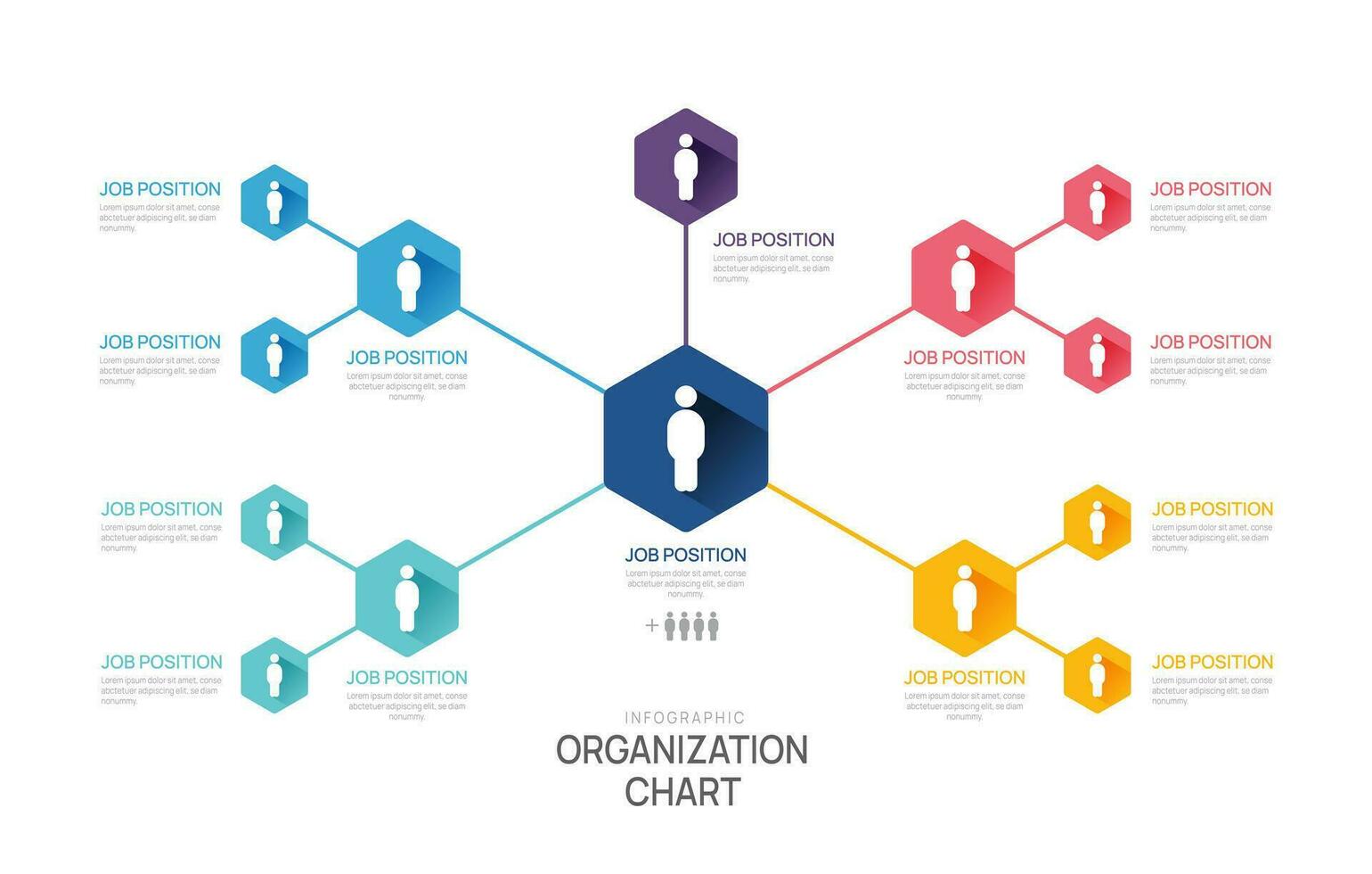 Infographic template for organization chart with business avatar icons. vector infographic for business.