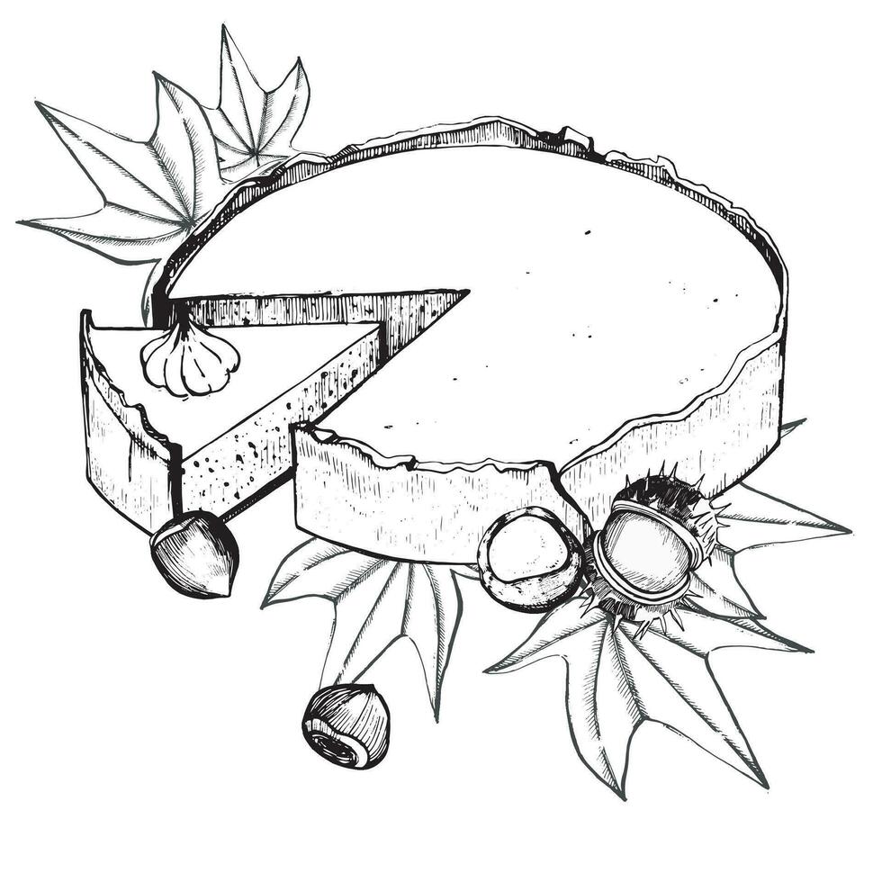 Vector illustration. Pumpkin pie with chestnuts, maple leaves drawn in vector in black on a white background. Suitable for printing on fabric, paper, kitchen, decoration and creativity.