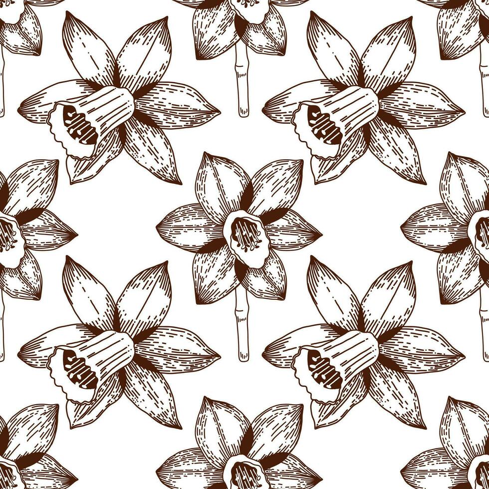 Floral pattern. Seamless pattern of daffodils drawn on a clipboard in dark brown vector. For the design of postcards, invitations, for the design of weddings and celebrations, for printing. vector