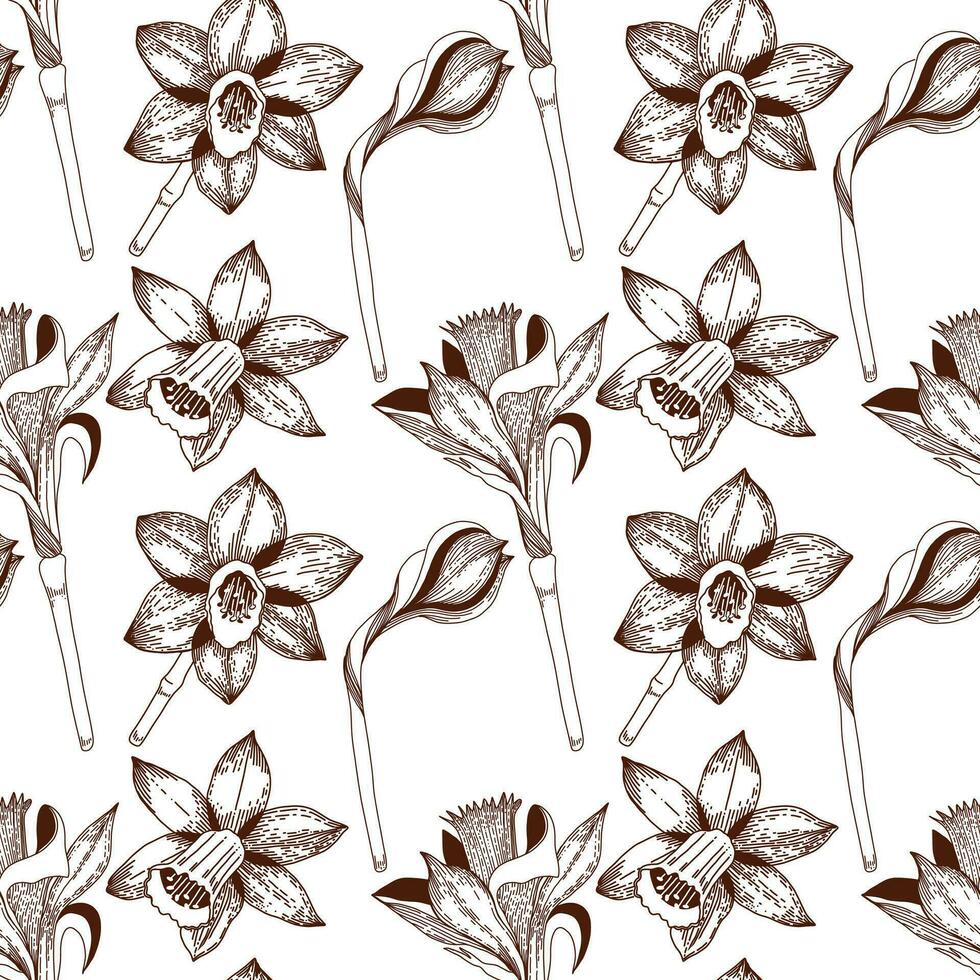 Floral pattern. Seamless pattern of daffodils drawn on a clipboard in dark brown vector. For the design of postcards, invitations, for the design of weddings and celebrations, for printing. vector