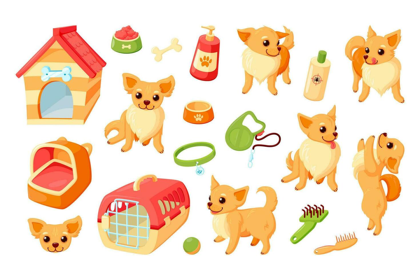 Chihuahua dog with kennel, carrier, toys and grooming stuff. Chihuahua puppy with pet accessories. Vector illustration