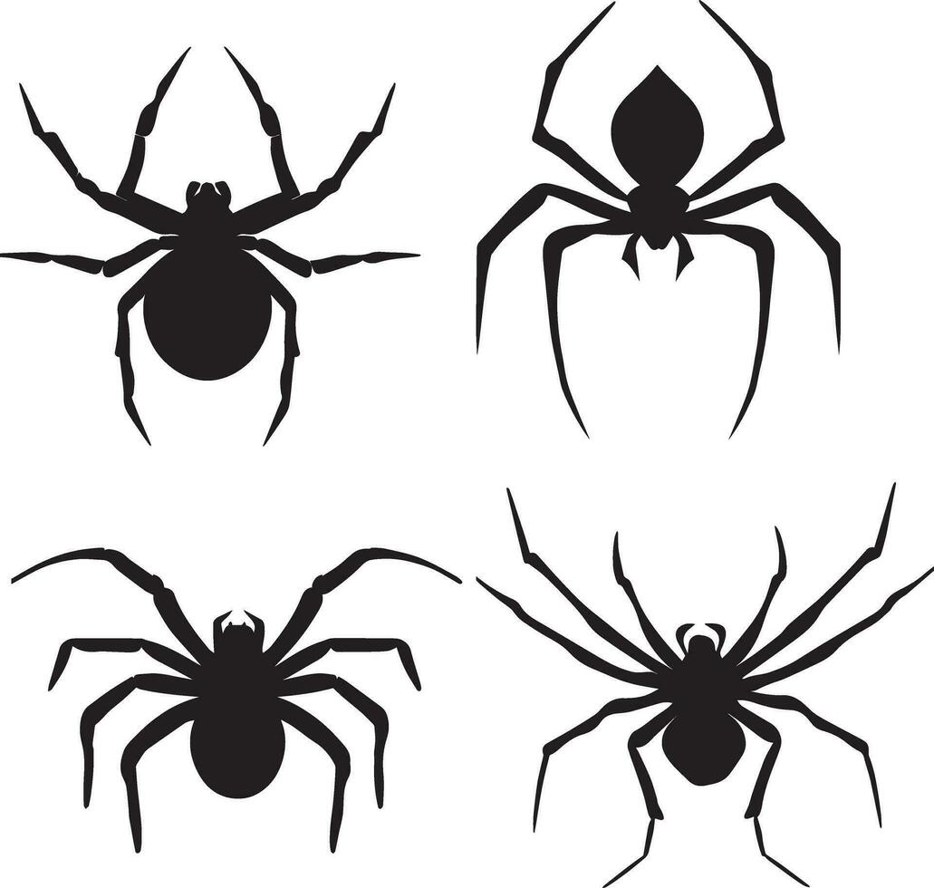 Spider vector silhouette illustration 1