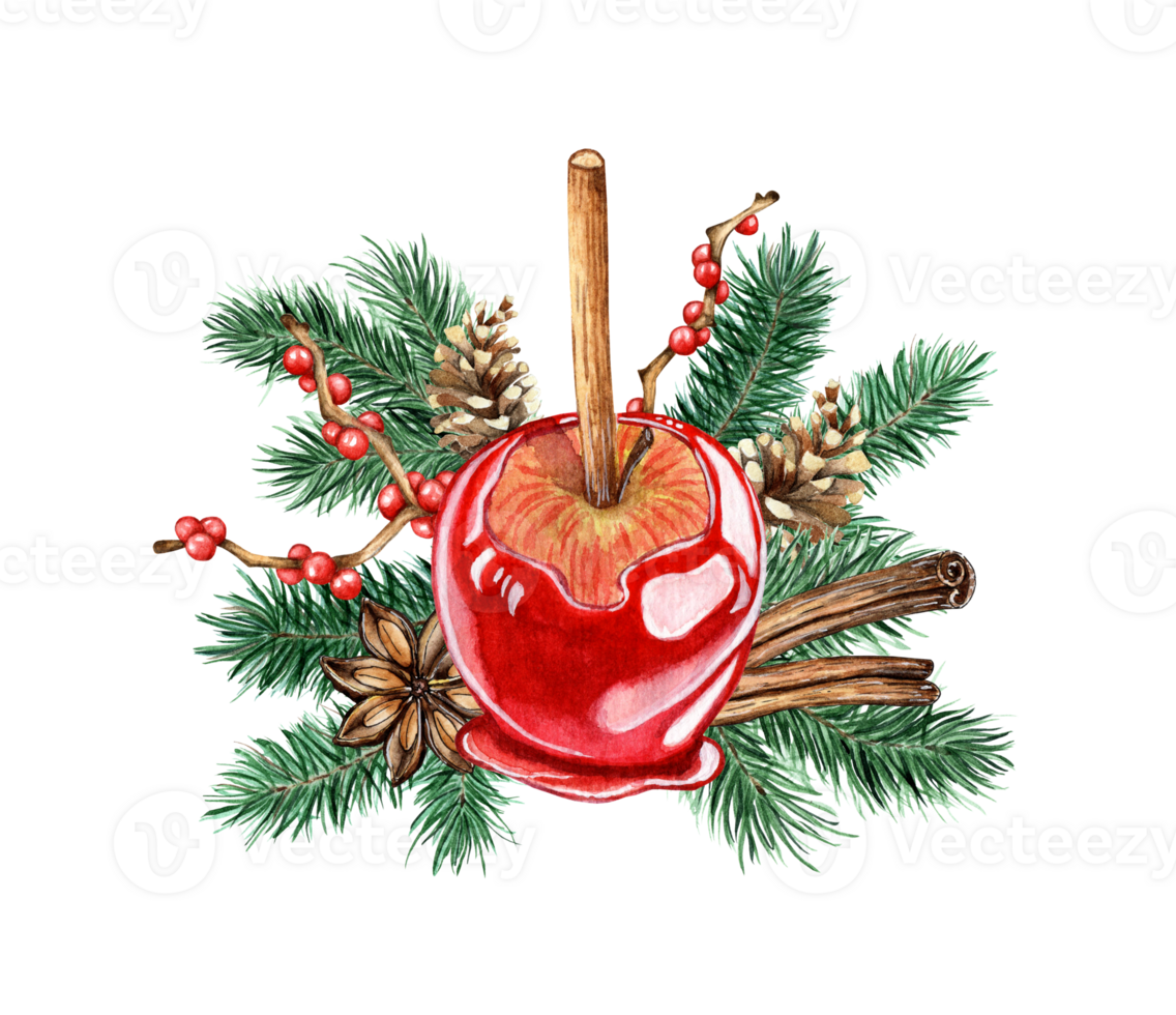 Watercolor illustration of a Christmas apple in caramel, fir branches, pine cone, branches with red berries, cinnamon. Isolated composition for posters, cards, banners, flyers, covers png