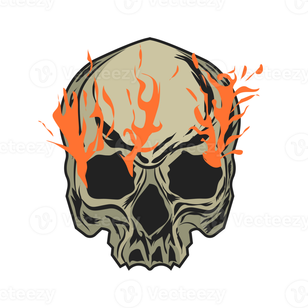 head skull with fire burn png