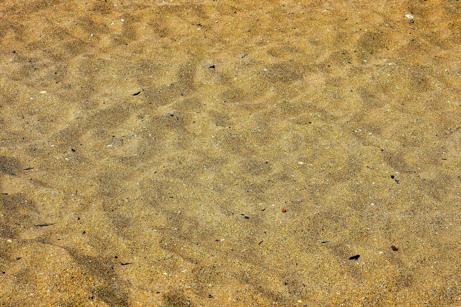 a close up of sand on the beach photo