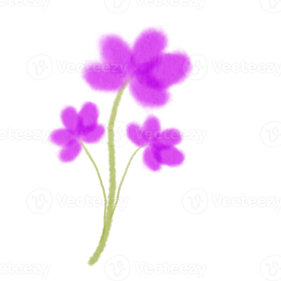 fleurs violettes aquarelles png