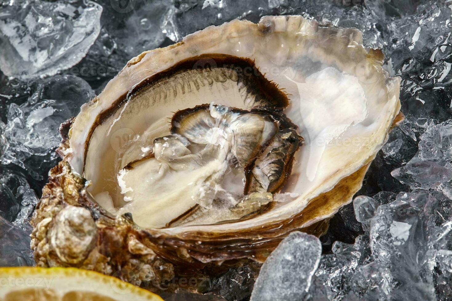 Fresh opened oysters, ice and lemon on a black stone textured background. Top view. Close-up shot. photo