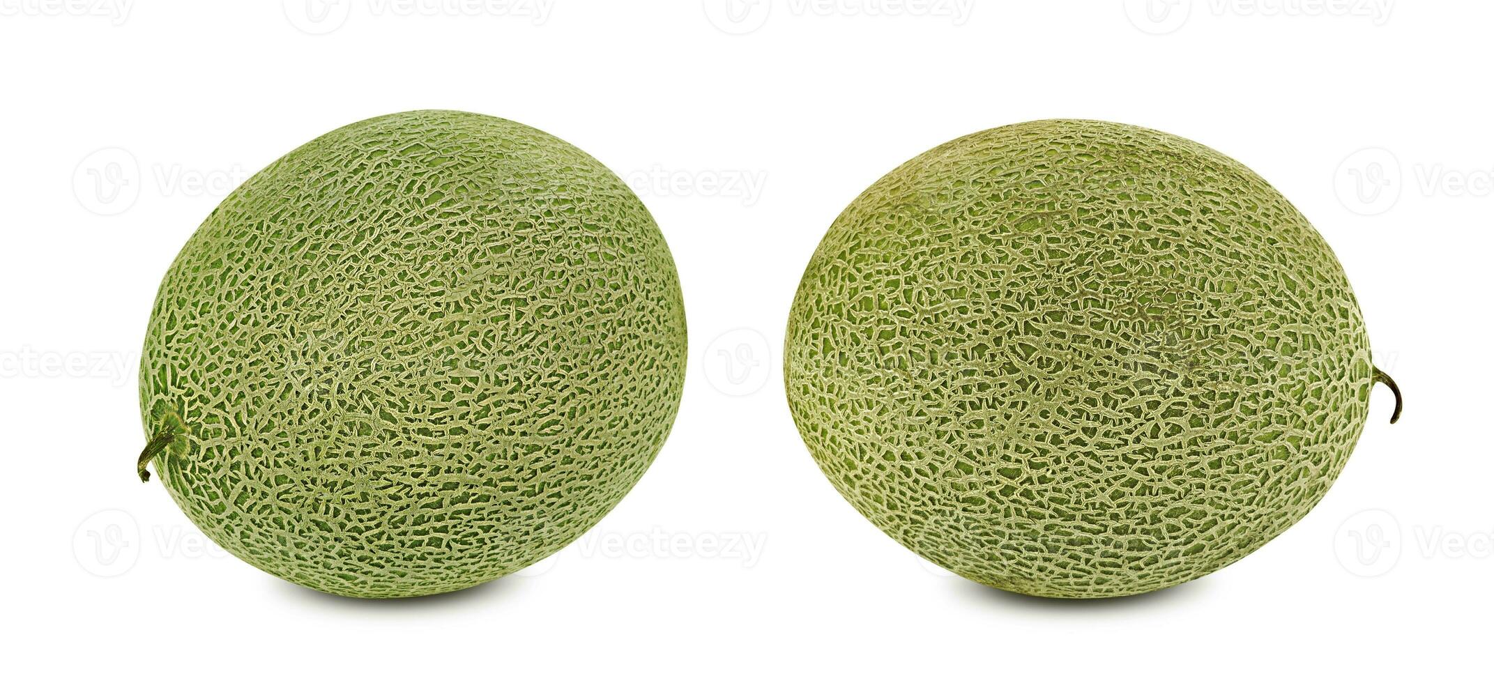 Two sweet cantaloupe melons isolated on white background with copy space for text or images. Side view. Close-up shot. photo