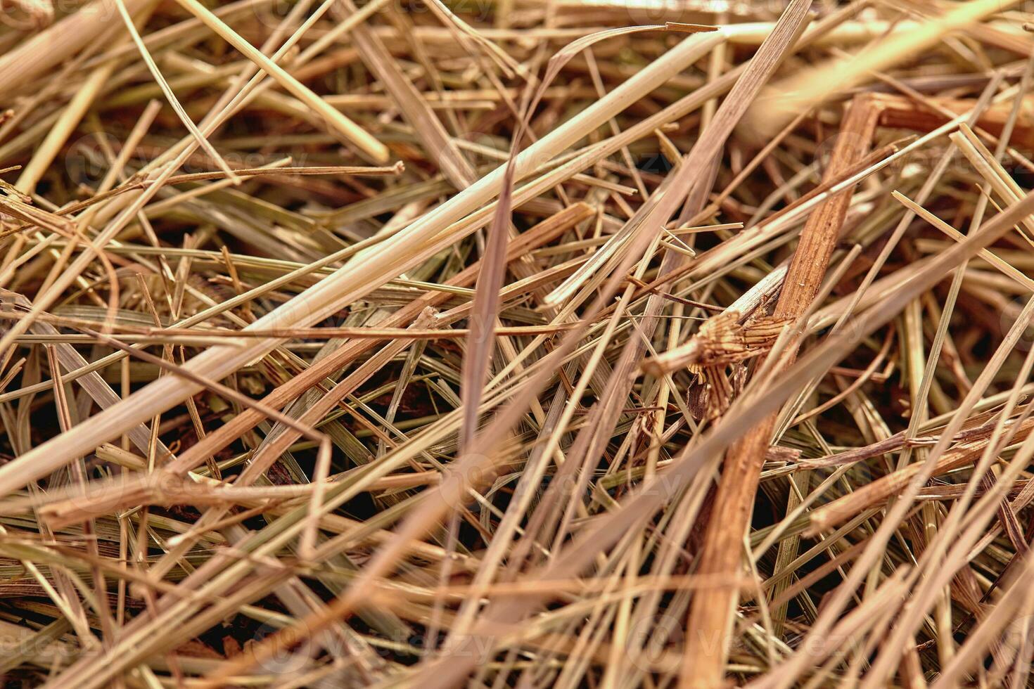 Close-up of a haystack for rural background photo