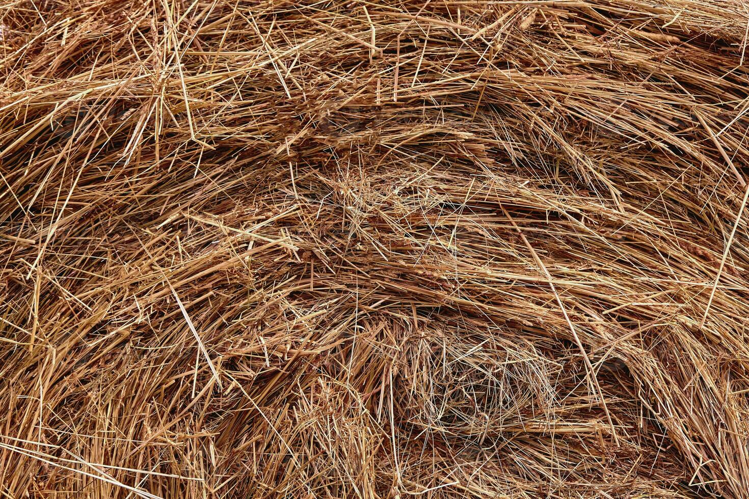 Close-up of a haystack for rural background photo