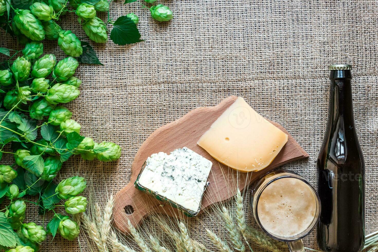 Beer background. Fresh beer and the salty cheese on a table. Top view photo