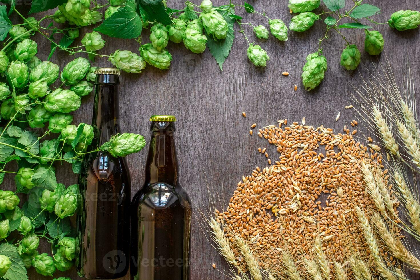 Two bottles of beer with wheat and hops as brewing ingredients in top view and copy space area photo