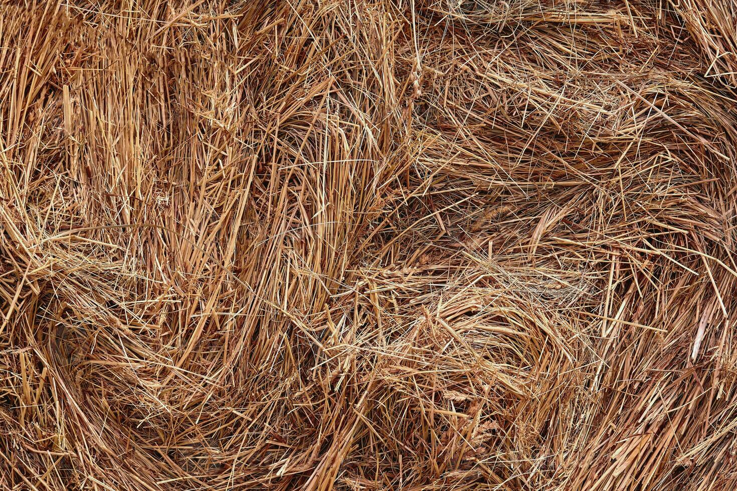 Close-up of a haystack for rural background photo