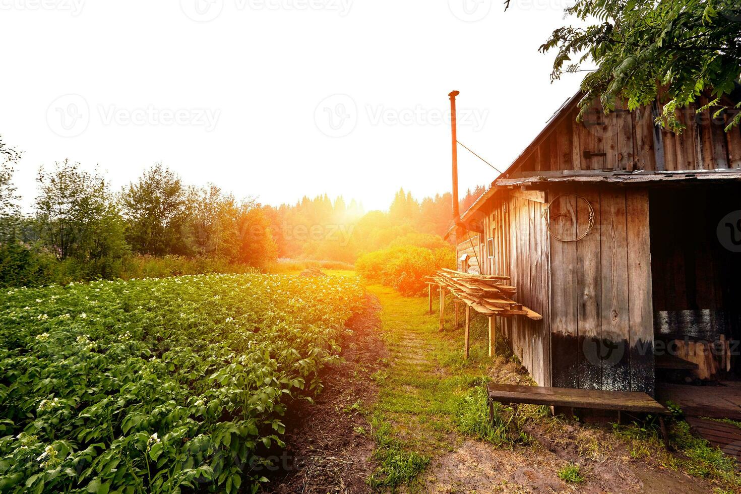 frente ver de de madera casa en ruso pueblo en soleado verano día foto