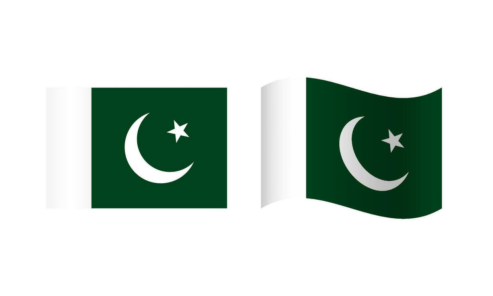 Rectangle and Wave Pakistan Flag Illustration vector