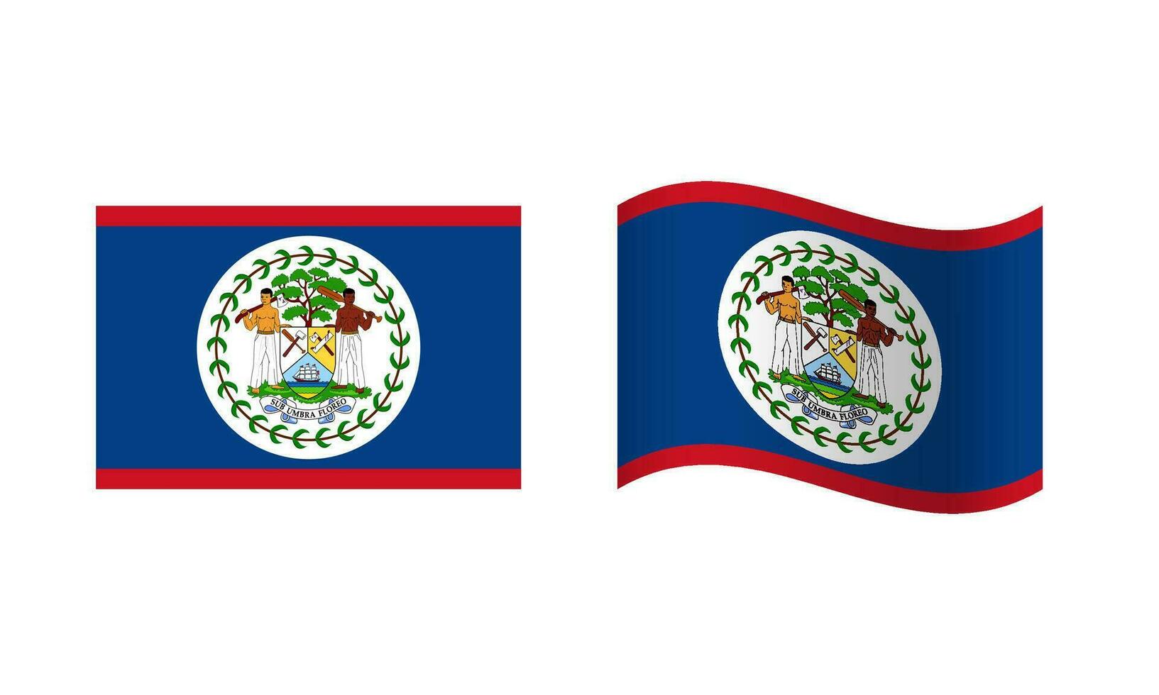 Rectangle and Wave Belize Flag Illustration vector