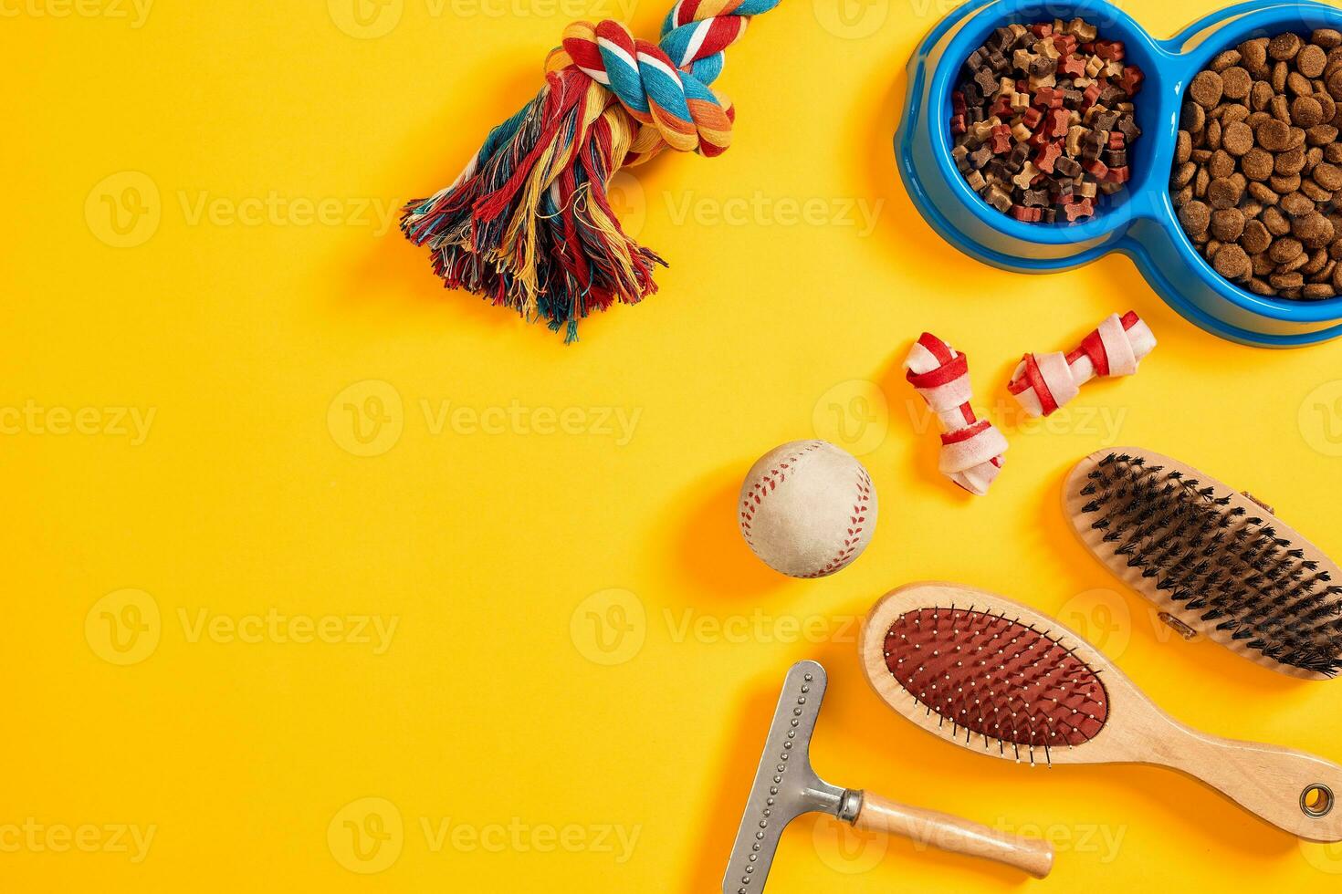 Accessories for the grooming of the dog. Combs and brushes for dogs. Top view photo