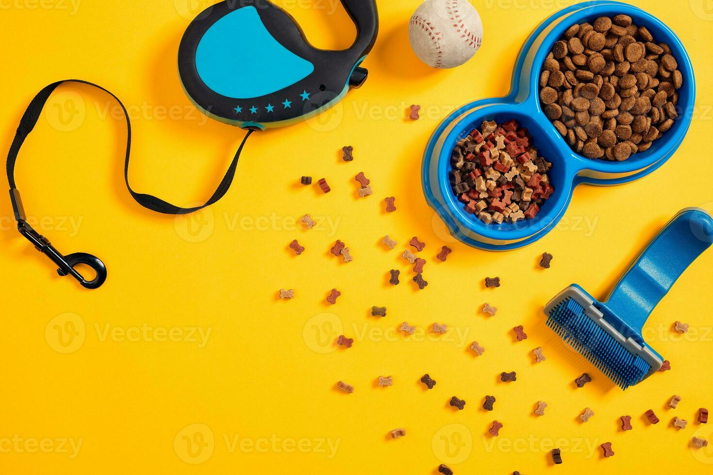 Dog accessories on yellow background. Top view. Pets and animals concept photo